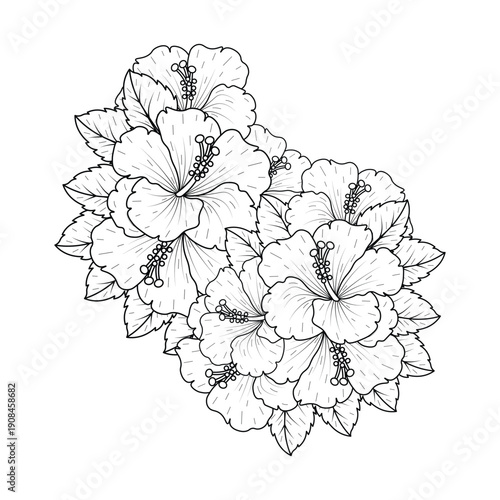 common hibiscus flower outline blossoming petal or rose mallow flowers coloring page
