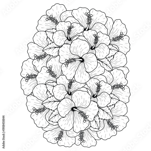 common hibiscus flower outline blossoming petal or rose mallow flowers coloring page