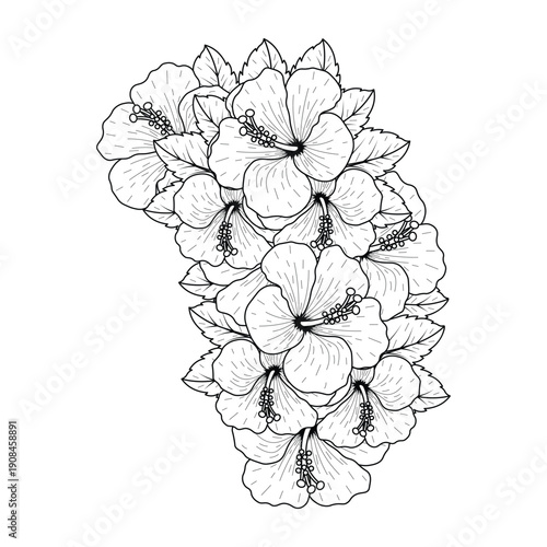 common hibiscus flower outline blossoming petal or rose mallow flowers coloring page