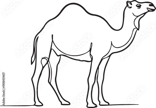 Simple line drawing of a dromedary camel in profile view