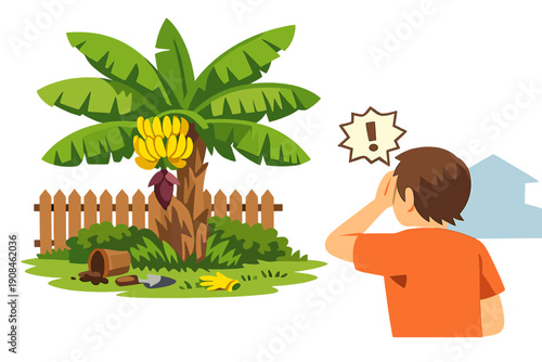 Picture finding a mature banana tree sprouting unexpectedly in your backyard