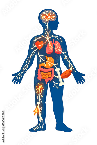 A radiant neural network spreads into a human outline, unexpectedly linking to other bodily systems