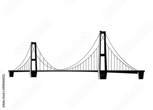 suspension bridge structure