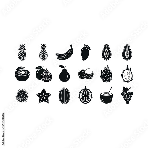 Black illustrations of various exotic fruits on white background for design