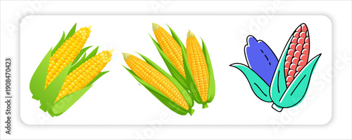 Coconuts with Fresh Corn on the Cob and Papaya Fruit a Sweet Dates