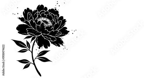 Elegant Black Peony Flower Illustration with Delicate Sprays and Leaves, a Symbol of Romance and Prosperity