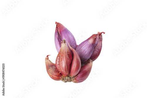 Fresh Red Purple Onion Bulbs with Dried Skin Layers Raw Vegetables Isolated White Background