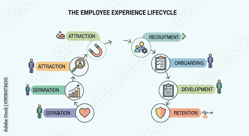 Illustration of the employee experience lifecycle with key stages and icons.