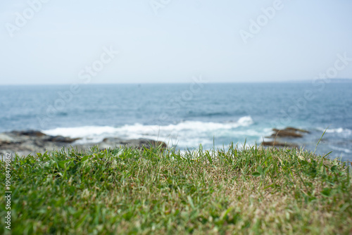 the edge of a well manicured lawn crumbles and drops off into a hungry ocean, implying the end of an American dream of home ownership and prosperity in an oligarchical society