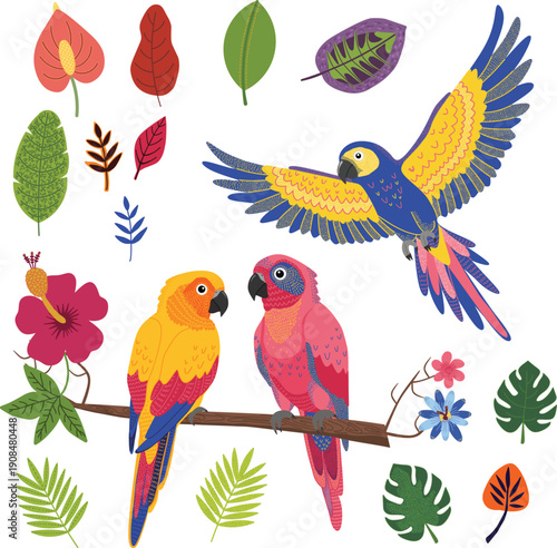 Colorful Tropical Flora & Avian Art: Detailed Flat Design. Hand-drawn.
