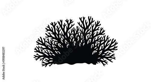 Black and white illustration of a coral reef structure