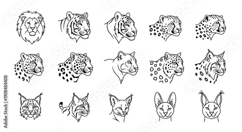 Wild animal heads in black and white line art various species