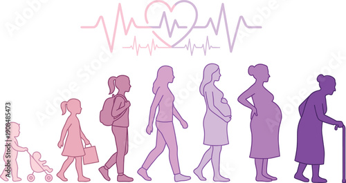 Female life stages silhouette illustration showing girl to elderly woman aging progression with pregnancy and heartbeat line, human lifecycle concept vector isolated on white background