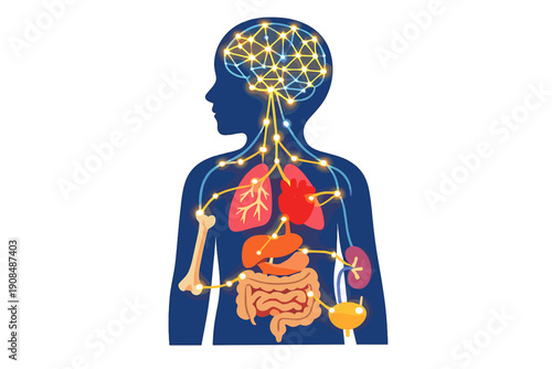 A luminous neural network extends into a human silhouette, unexpectedly linking to other bodily systems