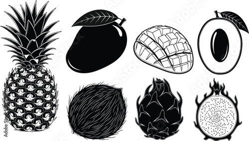 Tropical fruit set, pineapple, mango, coconut, dragon fruit, organic food, healthy lifestyle, exotic dessert, nutrition, harvest, summer, kitchen, cad drawing flat vector illustration
