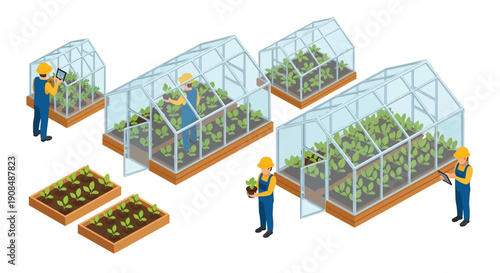 Isometric illustration of a greenhouse farm with workers tending plants