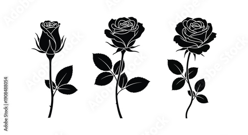 Three black silhouette roses with stems and leaves on a white background