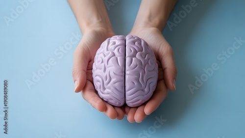 A person cradling a model of a human brain
