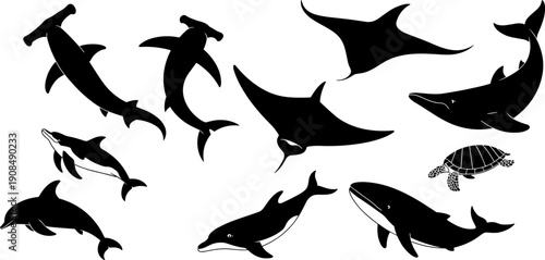 Black silhouette collection of marine animals including dolphins whales hammerhead sharks manta rays and sea turtles isolated on white background for ocean nature conservation designs
