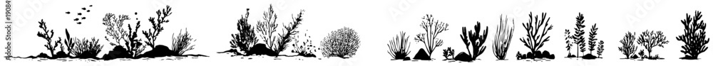 Fototapeta premium Panoramic hand drawn sketch of underwater plants and coral reef vegetation