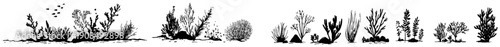 Panoramic hand drawn sketch of underwater plants and coral reef vegetation