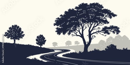 Silhouette of trees on a winding path at sunset with a starry sky