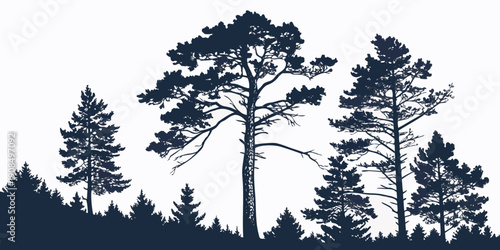 A serene forest scene with tall trees standing against a dark background