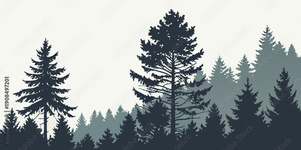 Fototapeta premium A dense forest with tall trees and a clear sky in the background.