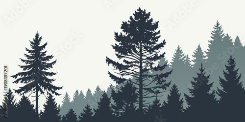 A dense forest with tall trees and a clear sky in the background.