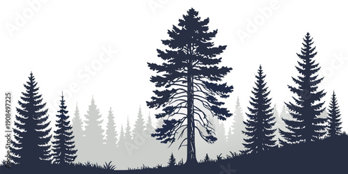 Majestic pine trees standing tall on a misty mountain ridge at sunrise