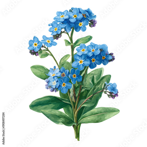Watercolor isometric artwork featuring Forget-me-not, presented on white background.