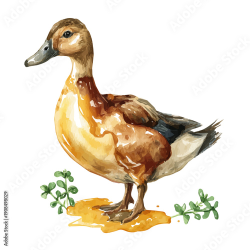 Artistic isometric watercolor image of Duck Confit, isolated on a white surface.