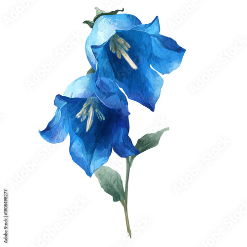 Watercolor isometric vector-style illustration of Bluebell, isolated on white background.