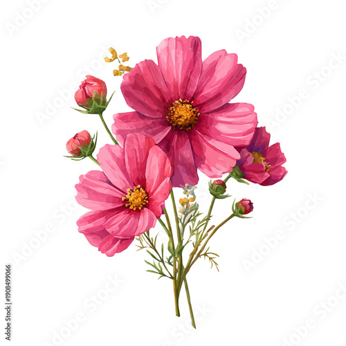 Isometric watercolor rendering of Cosmos Bouquet, isolated on a clean white background.