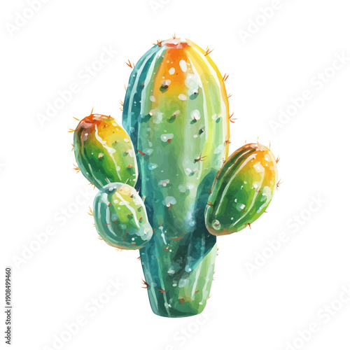 Isometric watercolor rendering of Cactus, isolated on a clean white background.