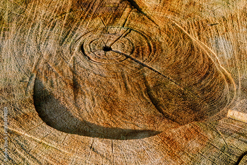 old wood background close up