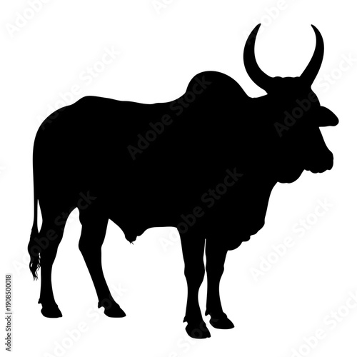 Silhouette of a powerful bull, embodying strength and resilience. The stark black against the background accentuates the animal's muscular form, perfect for design usage
