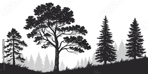 A serene forest scene with tall trees standing against a clear sky