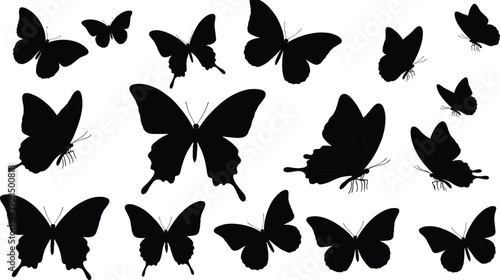 Butterfly silhouette illustration, black insect shapes, flying butterflies, decorative pattern, entomology design, insect diversity, nature art, winged creatures, scattered arrangement