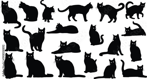 Cat silhouette, feline, animal, pet, sitting, standing, walking, stretching, lying, posture, gesture, vector, illustration, abstract, design, domestic, wildlife, nature, anatomy, behavior, concept