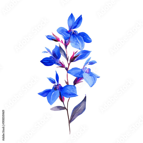 Lobelia Flower in detailed isometric watercolor art, isolated on a pure white backdrop.