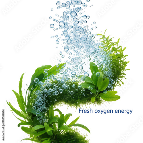Fresh green plants releasing oxygen bubbles in water