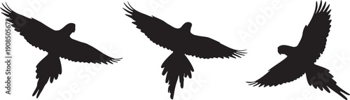 Three black silhouette birds flying with wings spread in mid air