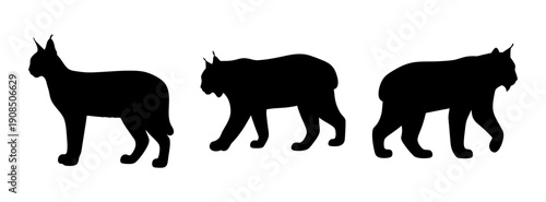 Three lynx silhouette vector illustration, bobcat animal wildlife predator mammal graphic design art