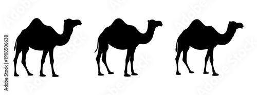 Three camel silhouette vector art design for desert travel and animal illustration projects and graphics