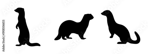 Ferret silhouette vector art illustration of cute ferret animal pet mammal design graphic template