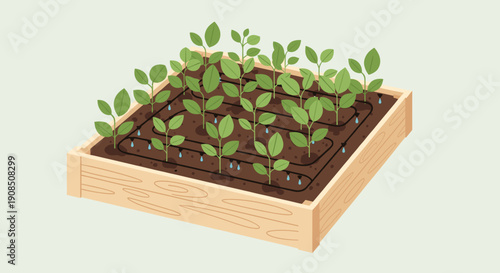 Isometric illustration of a raised garden bed with young green plants and an efficient drip irrigation system for sustainable home gardening concept