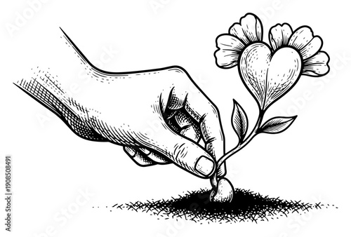 Hand planting a heart shaped flower in the soil vintage engraving style vector illustration concept of growing love