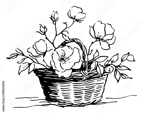 Hand drawn wicker basket filled with blooming flowers vector illustration