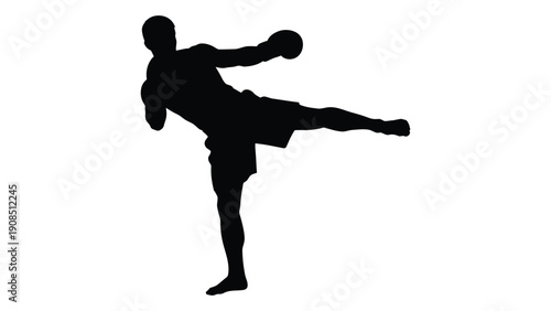 Silhouette of a martial artist executing a dynamic kick in a side profile